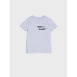 تیشرت پسرانه برند سین سی کد 624409