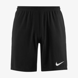 شلوارک ورزشی مردانه برند Nike کد 02682