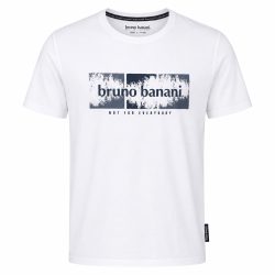 تیشرت نخی مردانه برند Bruno banani کد 047498