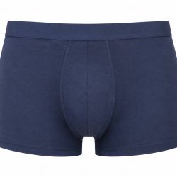 شورت باکسر مردانه برند Town land کد 52847913