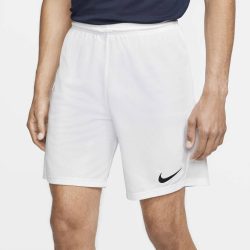 شلوارک ورزشی مردانه برند NIKE کد 836842