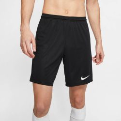 شلوارک ورزشی مردانه برند NIKE کد 8368422